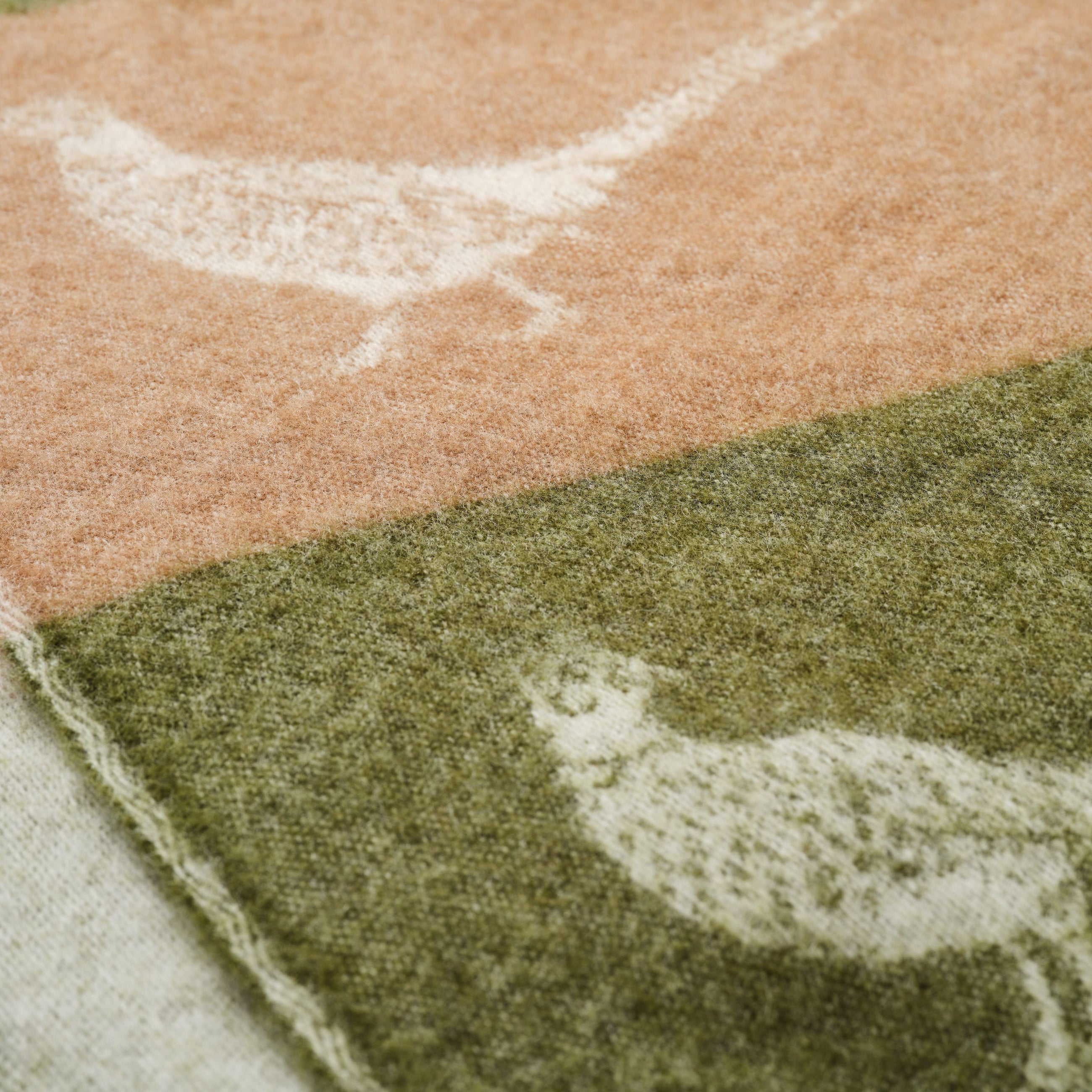 Close-up of pheasant detail of a green throw