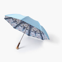 Umbrella with swan design on a white background