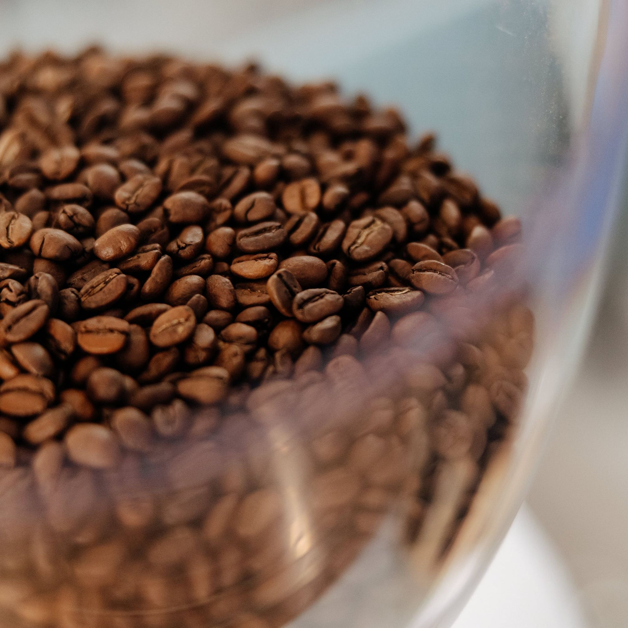 Close-up of coffee beans in a glass container