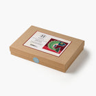 Brown cardboard box with a colorful fish design on a white background